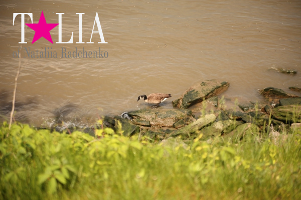 Набережная. Харлем, Верхний Манхэттен, Нью-Йорк