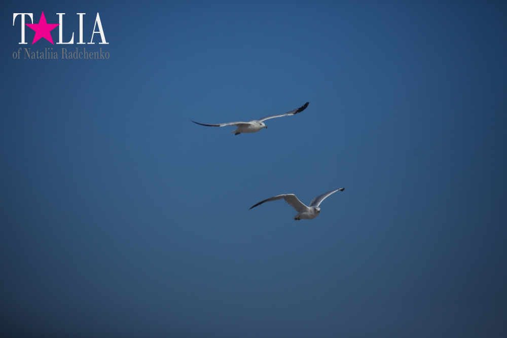 Летний Хэмптонс, Пляж Лонг Айленд, штат Нью-Йорк