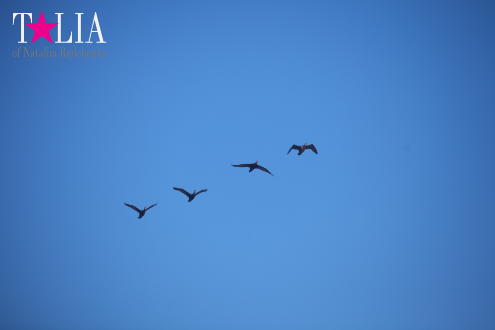 Летний Хэмптонс, Пляж Лонг Айленд, штат Нью-Йорк