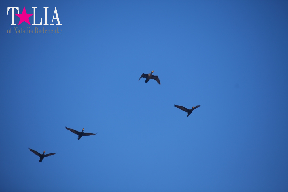 Летний Хэмптонс, Пляж Лонг Айленд, штат Нью-Йорк