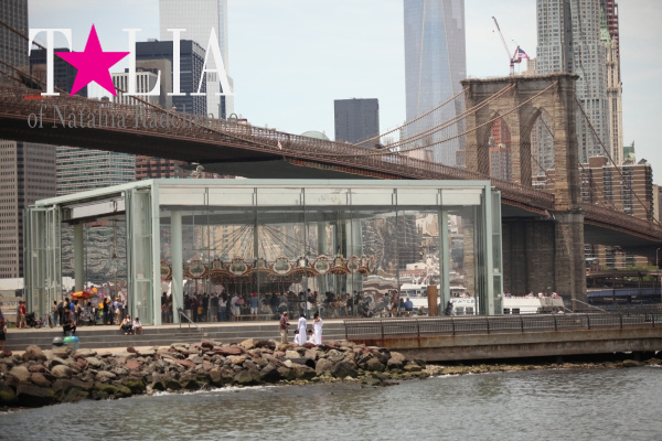 Карусель Джейн. Бруклин Бридж Парк