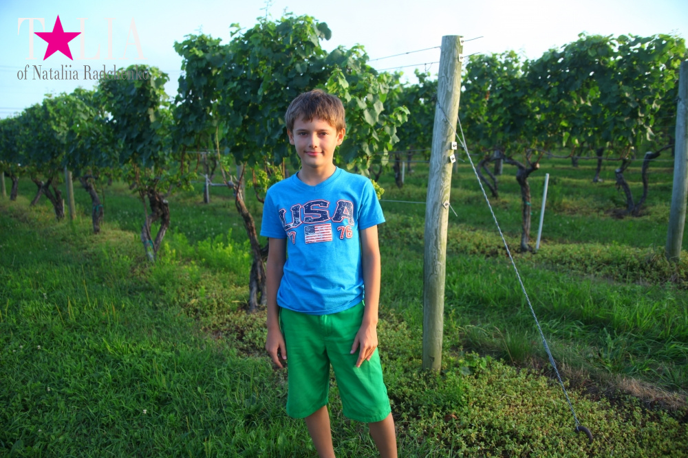 Виноградники Лонг-Айленда, Хэмптонc, штат Нью-Йорк