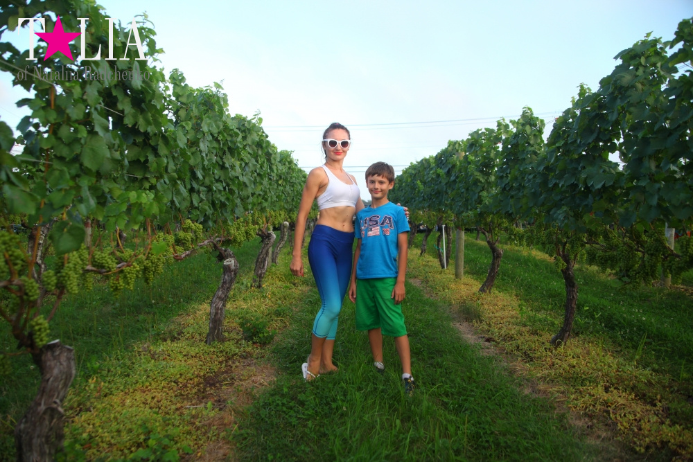 Виноградники Лонг-Айленда, Хэмптонc, штат Нью-Йорк