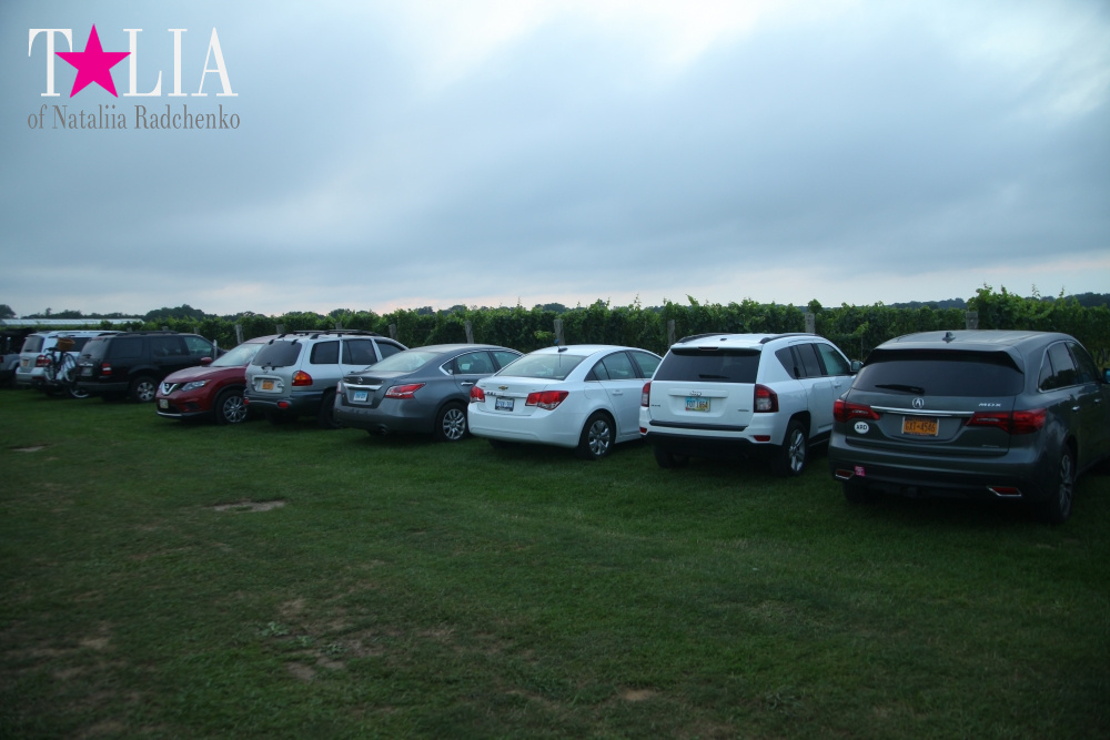 Виноградники Лонг-Айленда, Хэмптонc, штат Нью-Йорк