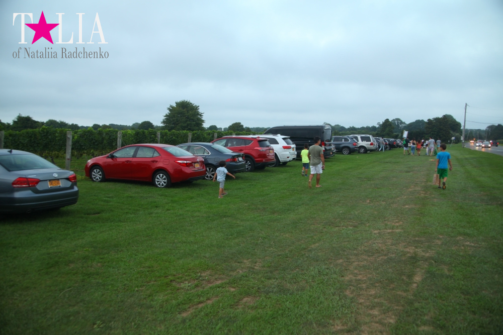 Виноградники Лонг-Айленда, Хэмптонc, штат Нью-Йорк