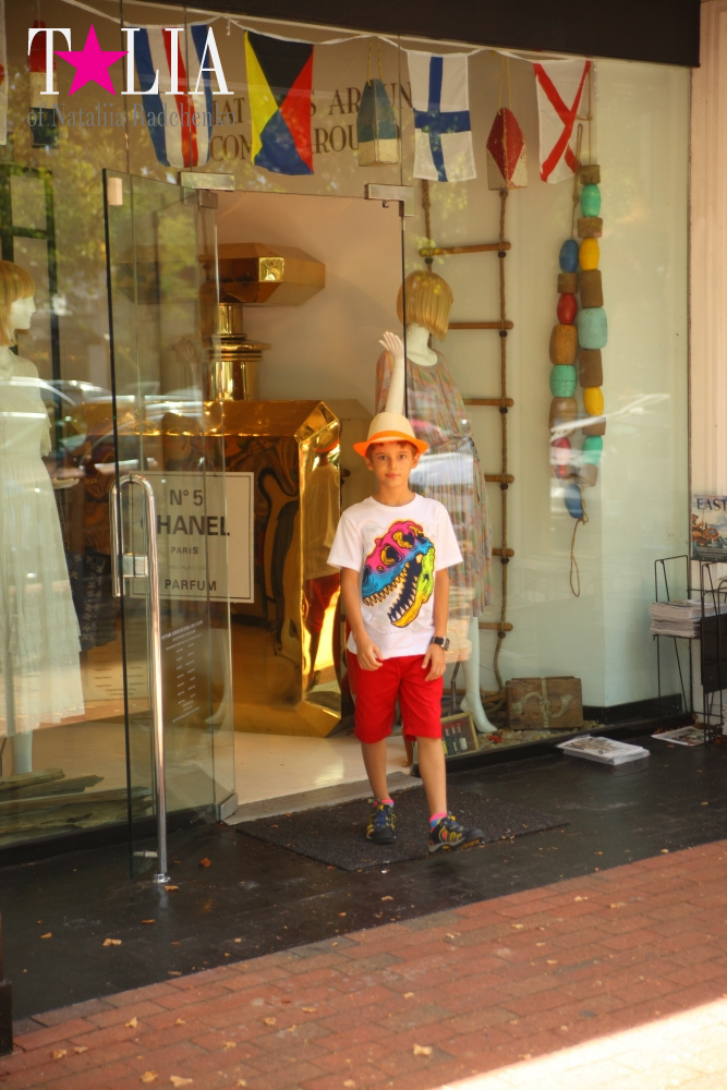 Американская мечта Хэмптонс, штат Нью-Йорк (The Hamptons, NY)