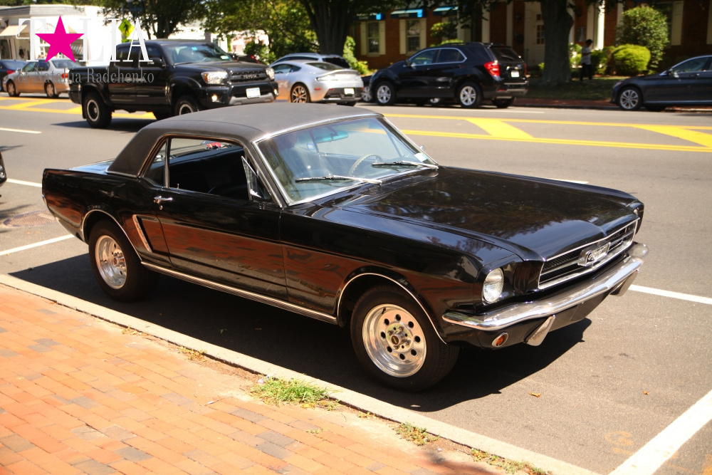 Американская мечта Хэмптонс, штат Нью-Йорк (The Hamptons, NY)