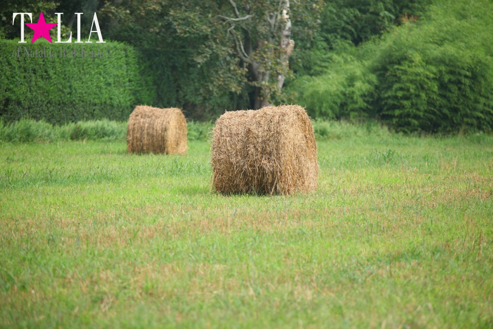 Американское село: фестиваль урожая "HANK'S PUMPKINTOWN, the Hamptons, NY"