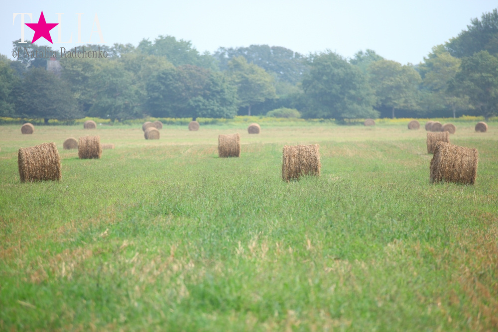 Американское село: фестиваль урожая "HANK'S PUMPKINTOWN, the Hamptons, NY"