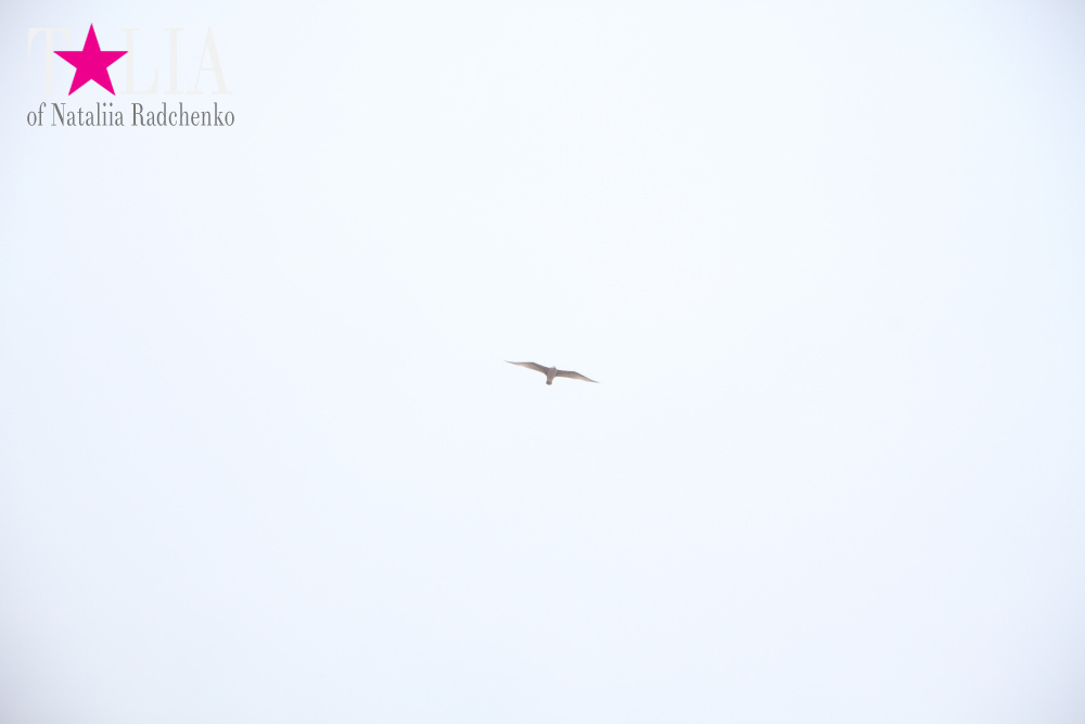 Бабье лето на пляже в Монтоке, штат Нью-Йорк (Indian summer on the beach in Montauk, NY)