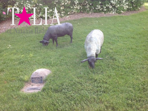 Парк скульптур Бенсона, Лавлэнд