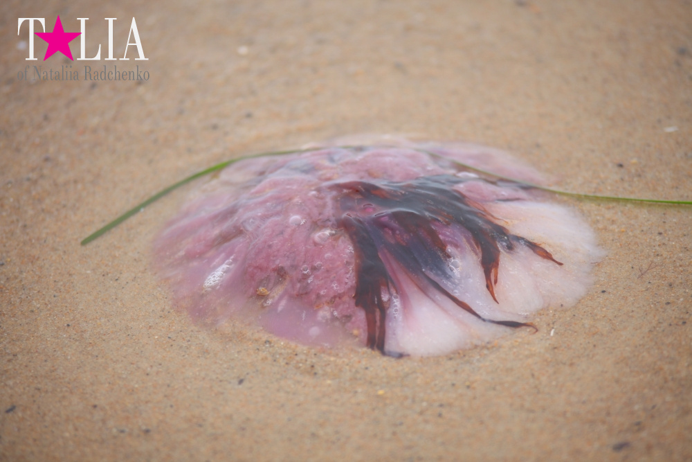 Бабье лето на пляже в Монтоке, штат Нью-Йорк (Indian summer on the beach in Montauk, NY)
