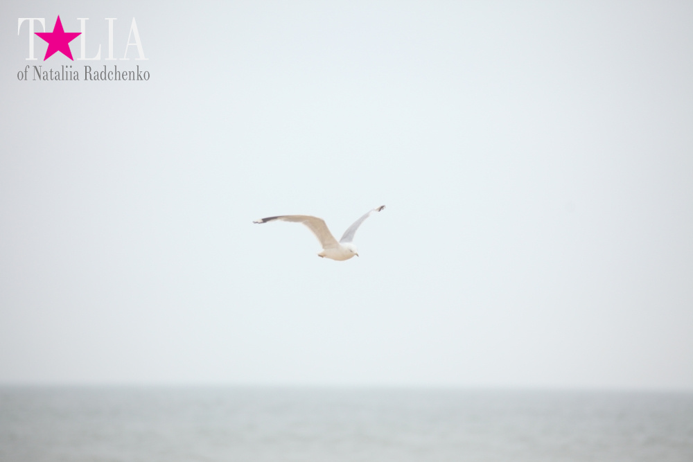 Бабье лето на пляже в Монтоке, штат Нью-Йорк (Indian summer on the beach in Montauk, NY)