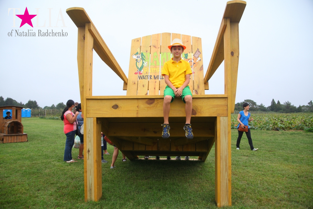 Американское село: фестиваль урожая "HANK'S PUMPKINTOWN, the Hamptons, NY"