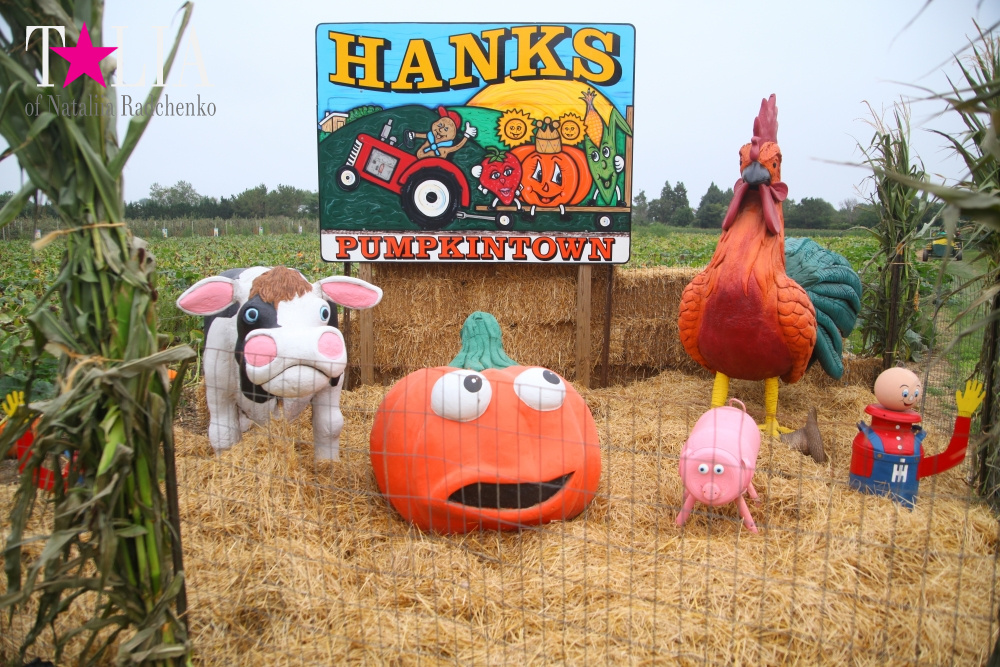Американское село: фестиваль урожая "HANK'S PUMPKINTOWN, the Hamptons, NY"