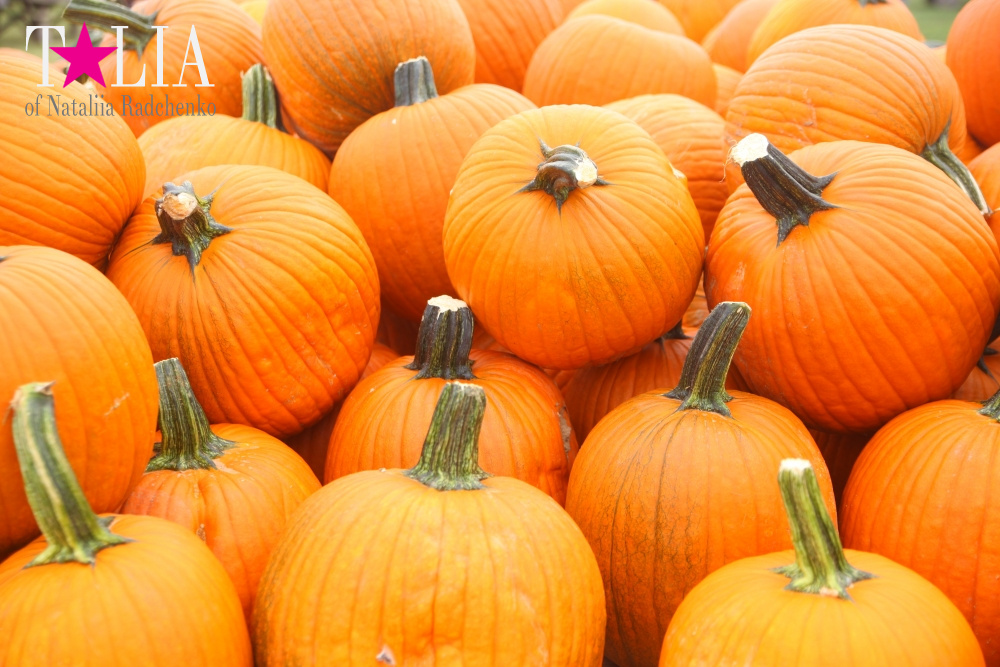 Американское село: фестиваль урожая "HANK'S PUMPKINTOWN, the Hamptons, NY"