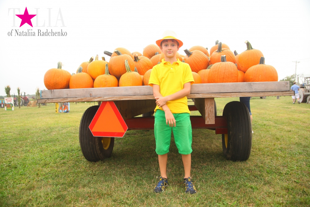 Американское село: фестиваль урожая "HANK'S PUMPKINTOWN, the Hamptons, NY"