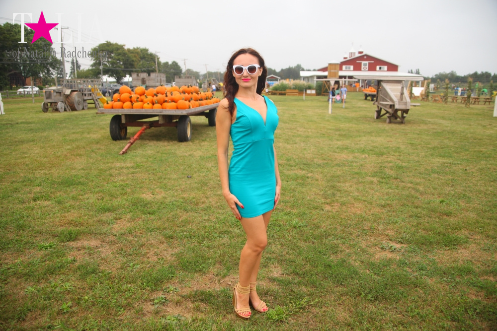 Американское село: фестиваль урожая "HANK'S PUMPKINTOWN, the Hamptons, NY"