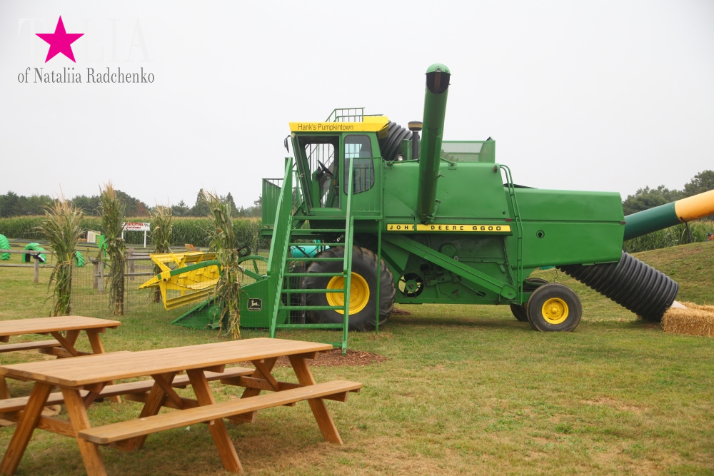 Американское село: фестиваль урожая "HANK'S PUMPKINTOWN, the Hamptons, NY"