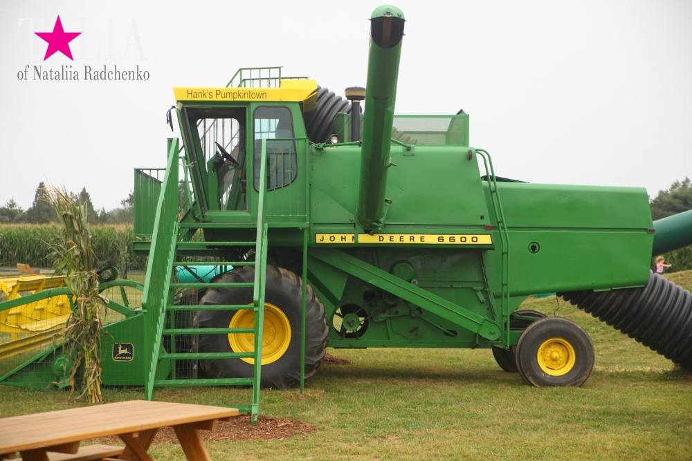 Американское село: фестиваль урожая "HANK'S PUMPKINTOWN, the Hamptons, NY"