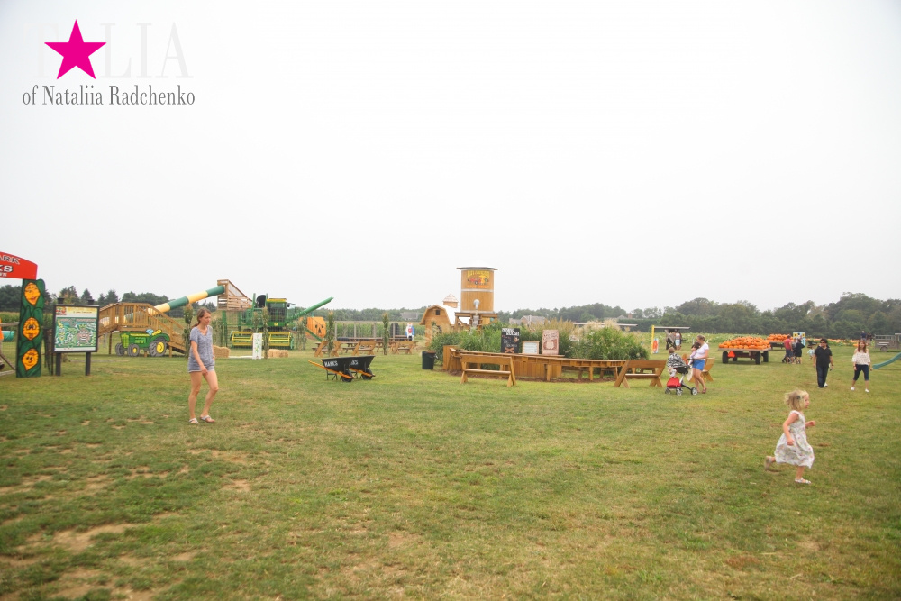 Американское село: фестиваль урожая "HANK'S PUMPKINTOWN, the Hamptons, NY"