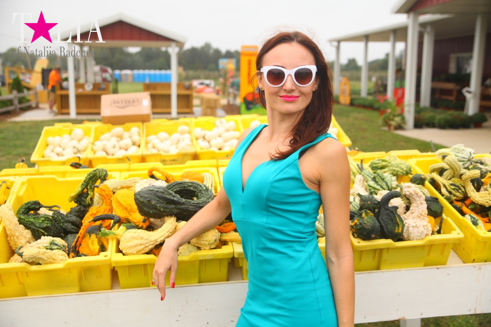 Американское село: фестиваль урожая "HANK'S PUMPKINTOWN, the Hamptons, NY"