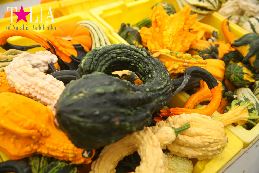 Американское село: фестиваль урожая "HANK'S PUMPKINTOWN, the Hamptons, NY"