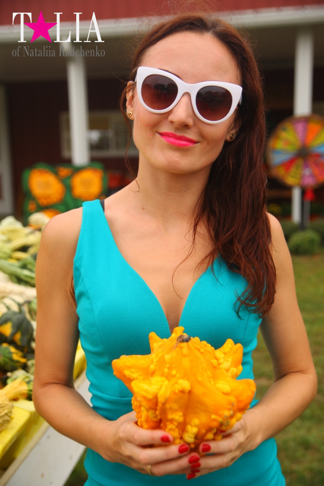 Американское село: фестиваль урожая "HANK'S PUMPKINTOWN, the Hamptons, NY"