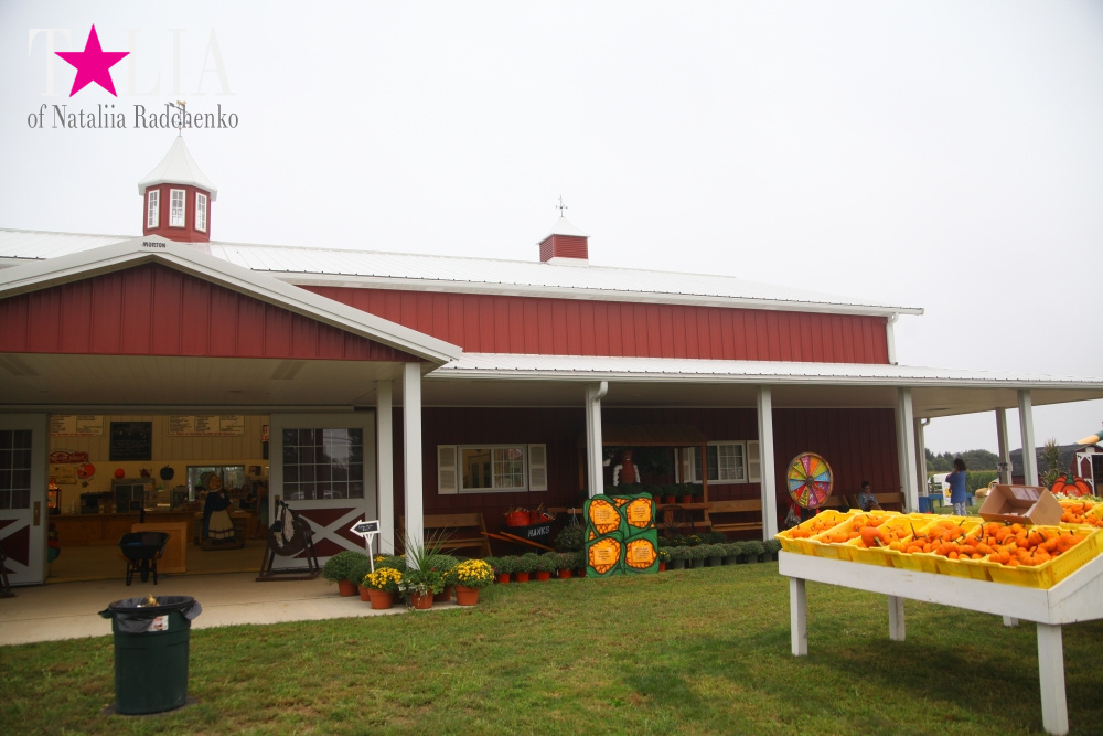 Американское село: фестиваль урожая "HANK'S PUMPKINTOWN, the Hamptons, NY"