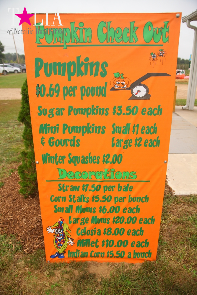 Американское село: фестиваль урожая "HANK'S PUMPKINTOWN, the Hamptons, NY"