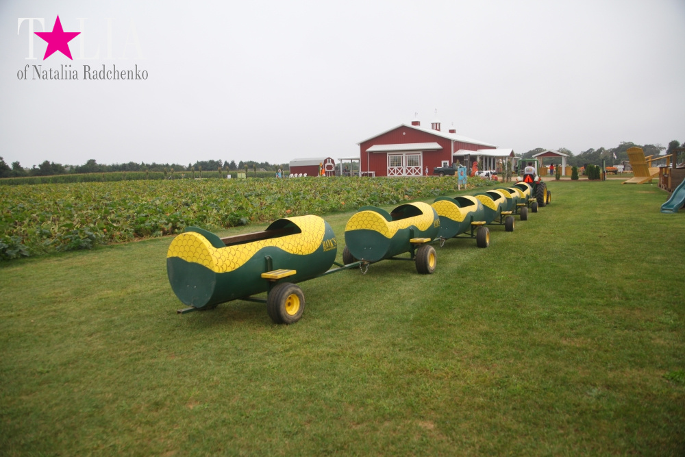 Американское село: фестиваль урожая "HANK'S PUMPKINTOWN, the Hamptons, NY"