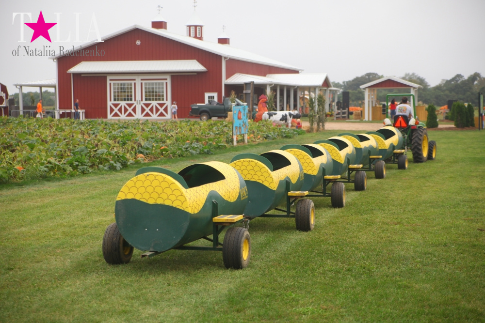 Американское село: фестиваль урожая "HANK'S PUMPKINTOWN, the Hamptons, NY"