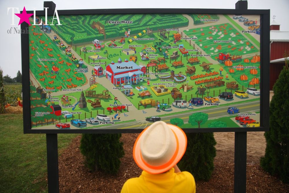 Карта HANK'S PUMPKINTOWN