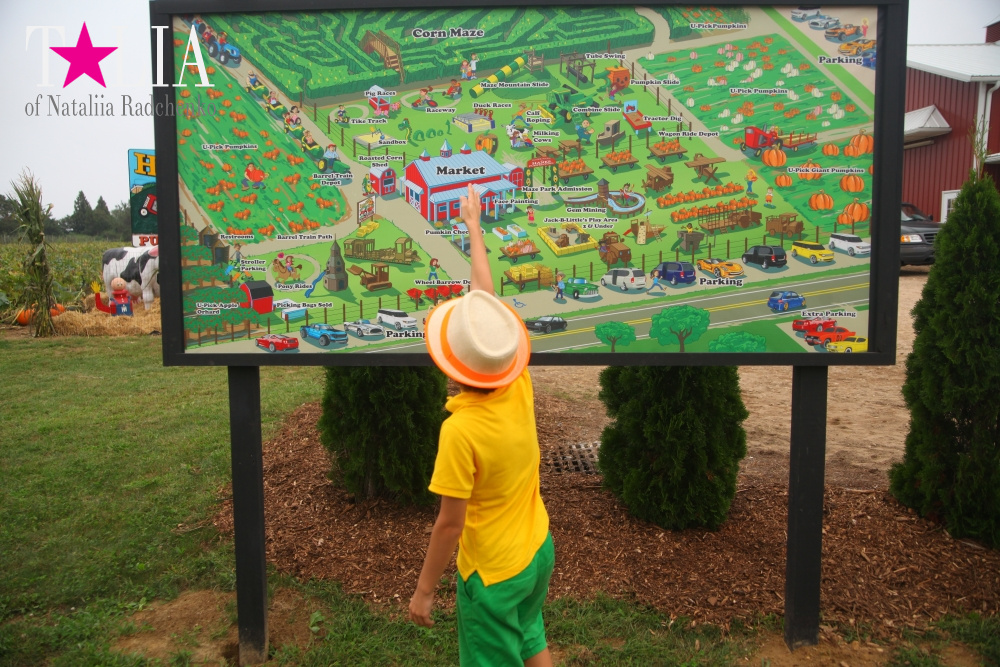 Карта HANK'S PUMPKINTOWN