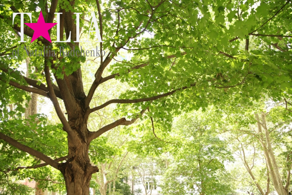 Национальный исторический парк комплекса независимости. Филадельфия, США