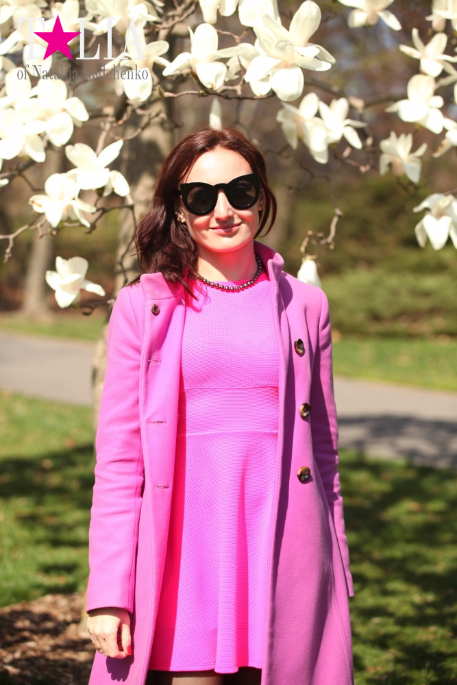 Весна в Бруклинском Ботаническом саду Нью-Йорка (Brooklyn Botanic Garden)