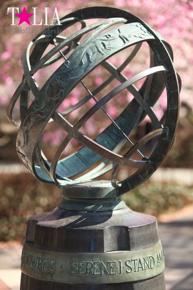 Весна в Бруклинском Ботаническом саду Нью-Йорка (Brooklyn Botanic Garden)