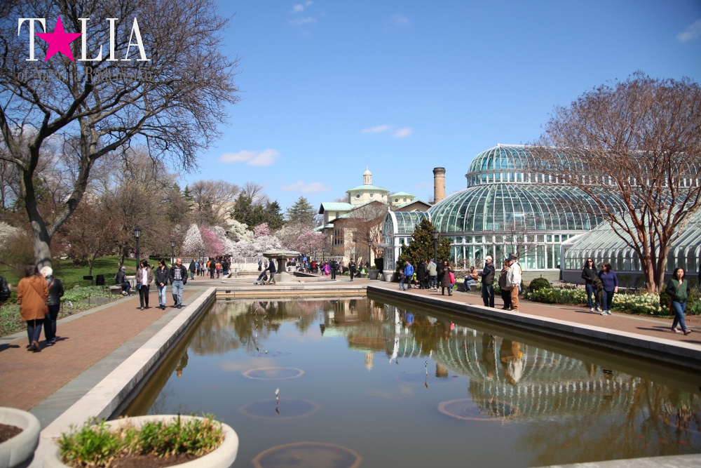 Весна в Бруклинском Ботаническом саду Нью-Йорка (Brooklyn Botanic Garden)