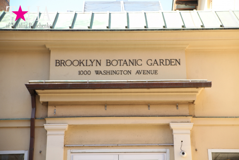 Весна в Бруклинском Ботаническом саду Нью-Йорка (Brooklyn Botanic Garden)