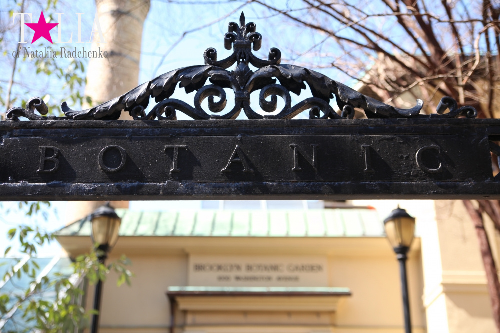 Весна в Бруклинском Ботаническом саду Нью-Йорка (Brooklyn Botanic Garden)