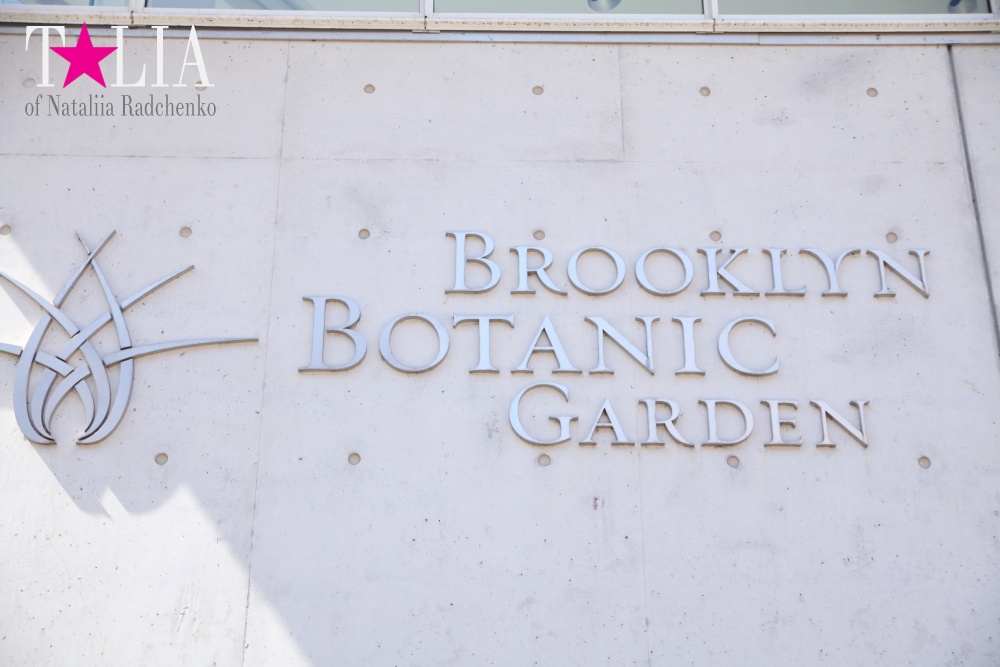 Весна в Бруклинском Ботаническом саду Нью-Йорка (Brooklyn Botanic Garden)