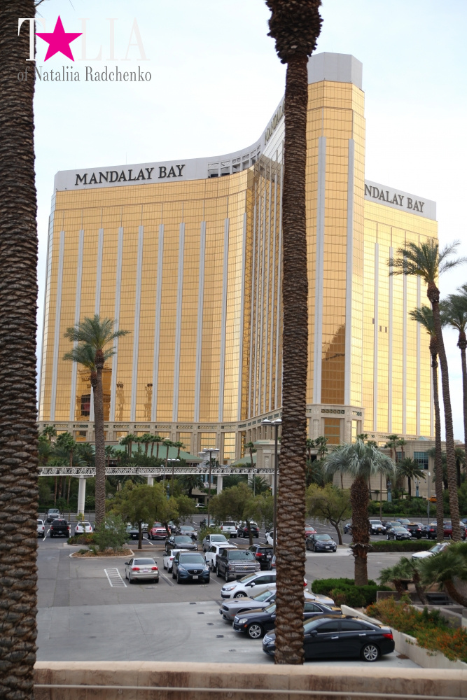 Отель Мандалей Бэй в Лас Вегасе, Невада, США