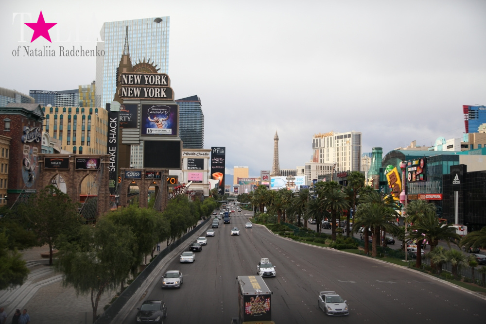 Главная улица Лас Вегаса - Стрип, с самыми дорогимы отелями в мире
