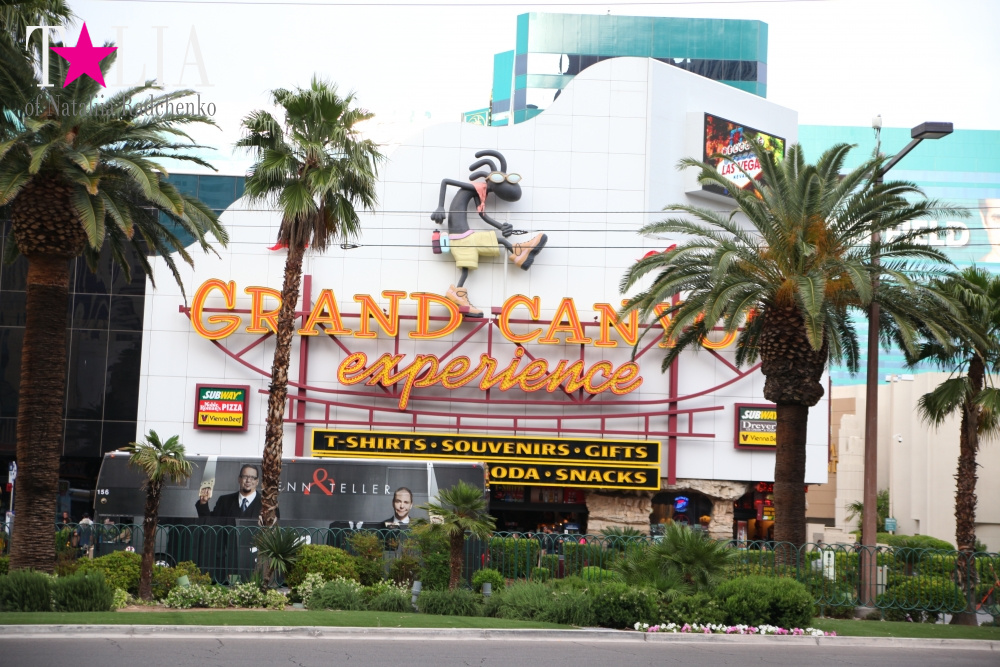 Главная улица Лас Вегаса - Стрип, с самыми дорогимы отелями в мире