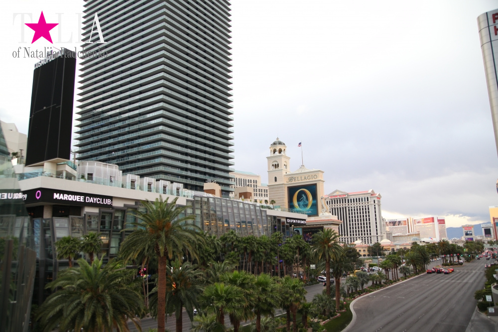 Главная улица Лас Вегаса - Стрип, с самыми дорогимы отелями в мире