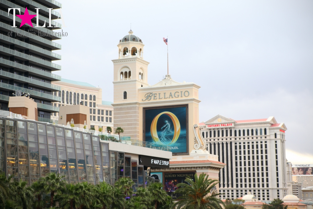 Главная улица Лас Вегаса - Стрип, с самыми дорогимы отелями в мире