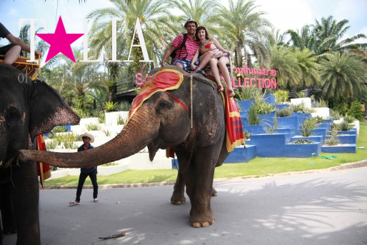 Паттайя, Таиланд.