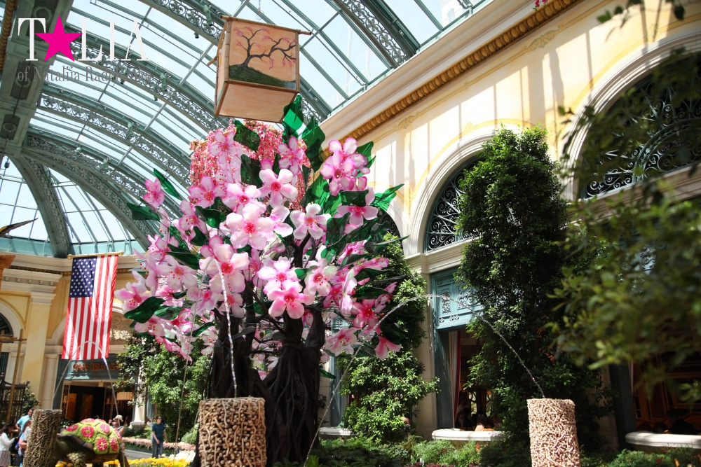 Ботанический сад в отеле Белладжио Лас Вегас, Невада, США