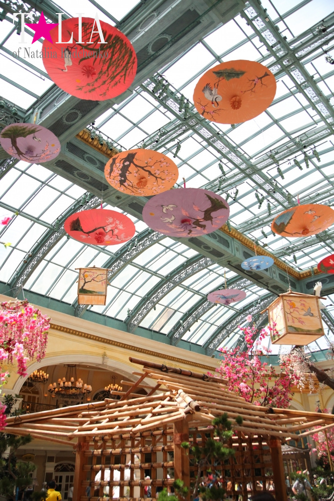 Ботанический сад в отеле Белладжио Лас Вегас, Невада, США