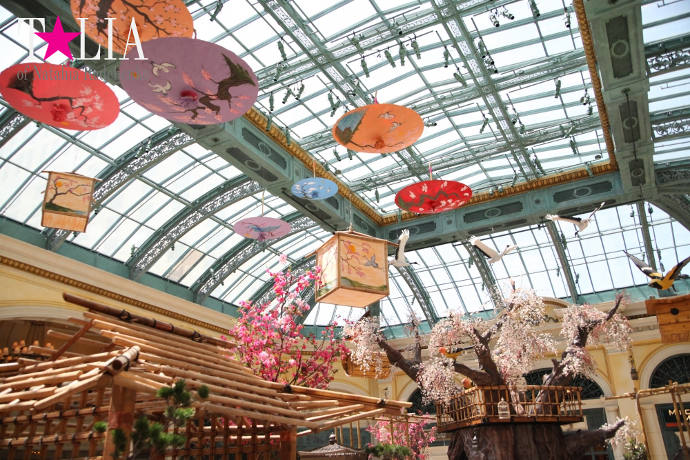 Ботанический сад в отеле Белладжио Лас Вегас, Невада, США